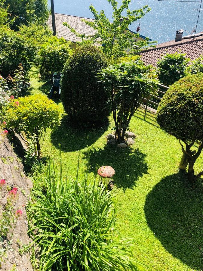 Lilli - Casa Sul Lago Dervio Dış mekan fotoğraf